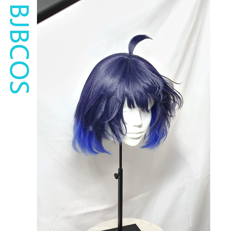 [Stilisierte Perücke] Seele Vo – Anime Cosplay Blue Hair Bewertung und Preis